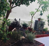 Modern hospitality, with private garden, Athens